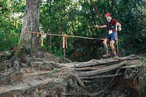 BIB: 
                            <button type="button" onclick="openModal(27752315)" class="btn btn-primary btn-sm float-right btn-popup" data-toggle="modal" data-target=".modal-high-quality">
                        <i class="fas fa-shopping-cart"></i> Add to Cart
                    </button>
                                            <button type="button" onclick="isThisMe(27752315, true)" class="btn btn-success btn-sm float-right btn-popup btn-isme hidden" data-toggle="tooltip" data-placement="bottom" title="นี่คือรูปของคุณใช่ไหม คลิกที่นี่เพื่อเอาเข้าอัลบั้ม">
                        <i class="fas fa-plus"></i> Add to album
                    </button>
                    <button type="button" onclick="isThisMe(27752315, false)" class="btn btn-warning btn-sm float-right btn-popup btn-isnotme hidden">
                        <i class="fas fa-ban"></i> Remove from album
                    </button>